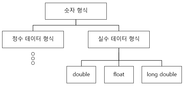 실수 데이터 타입